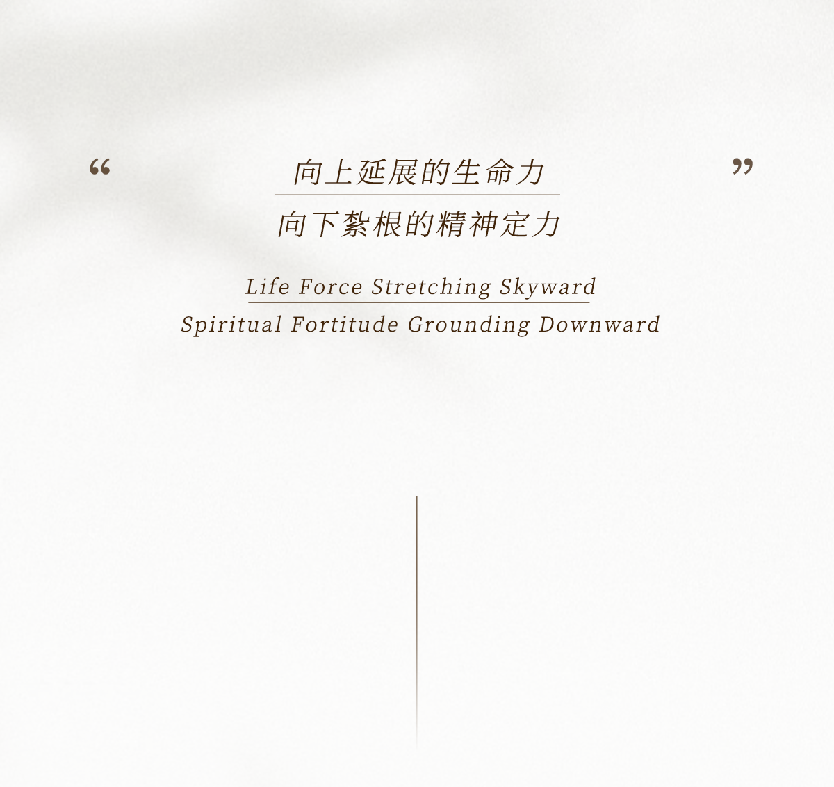 新作丨矩阵纵横 x 2500㎡“东方气韵”美学空间一这才是中式豪宅会所该有的样子!